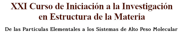 XV Curso de Iniciación a la Investigación en Estructura de la Materia