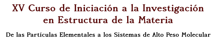 XV Curso de Iniciación a la Investigación en Estructura de la Materia