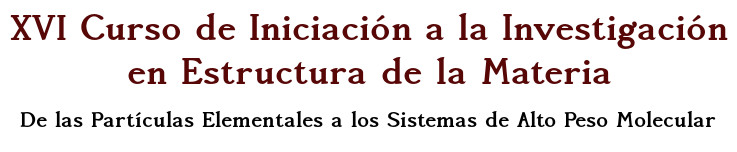 XV Curso de Iniciación a la Investigación en Estructura de la Materia