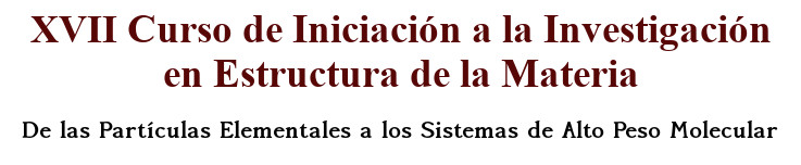 XV Curso de Iniciación a la Investigación en Estructura de la Materia