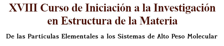 XV Curso de Iniciación a la Investigación en Estructura de la Materia