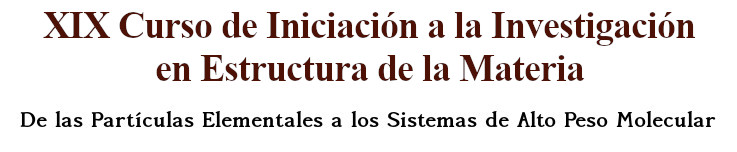 XV Curso de Iniciación a la Investigación en Estructura de la Materia