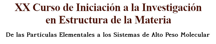 XV Curso de Iniciación a la Investigación en Estructura de la Materia