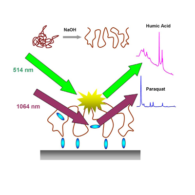 Estudio diferencial de complejos sustancia húmica/paraquat mediante distintas líneas de excitación en la detección del herbicida paraquat.