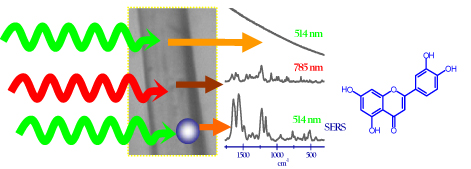 Detección in situ del flavonoide luteína en fibras de seda sin extracción del colorante, mediante generación de nanopartículas de Ag por fotorredución láser sobre la fibra.
