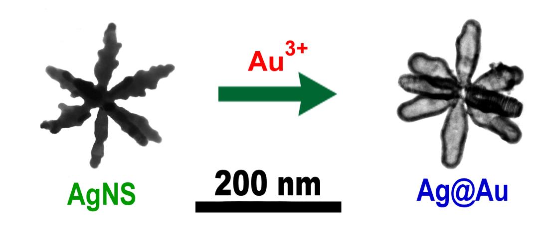 Synthesis of a new type of bimetallic Ag@Au nanostars displaying broad sensitivity in plasmonic detection of alzheimer biomarkers